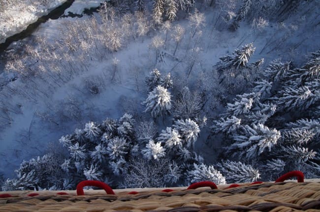 Der verschneite Wald von oben
