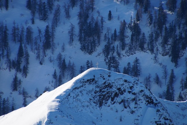 Berge und Wälder aus einer anderen Perspektive betrachten